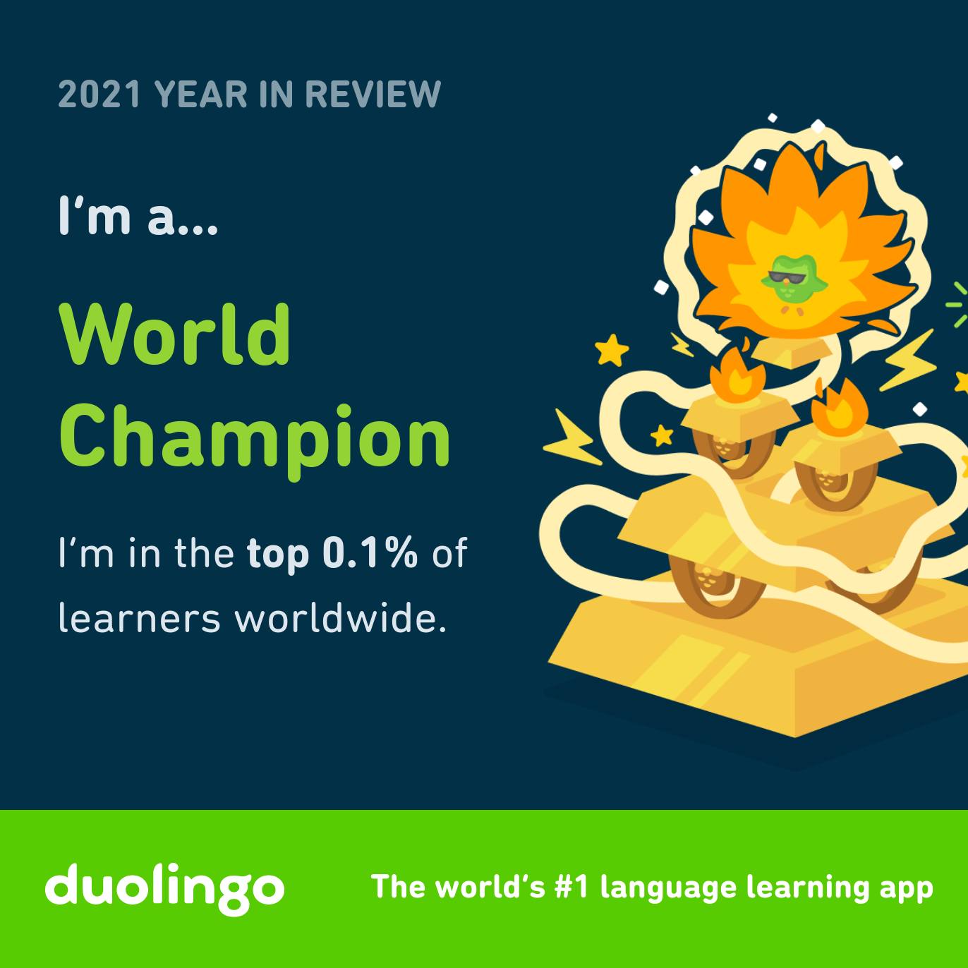 Guest Post] Duolingo Champion